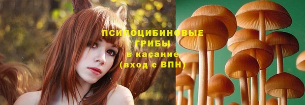 эйфоретик Белокуриха