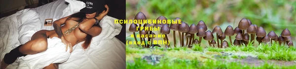 кокаин VHQ Беломорск
