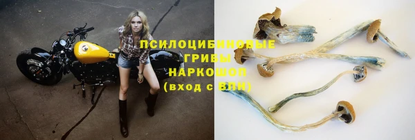 эйфоретик Белокуриха