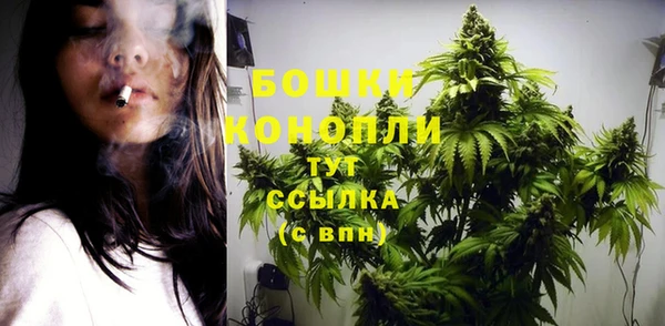 эйфоретик Белокуриха