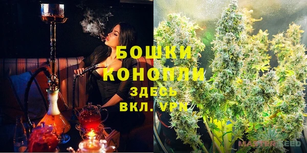 эйфоретик Белокуриха