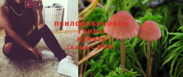 эйфоретик Белокуриха