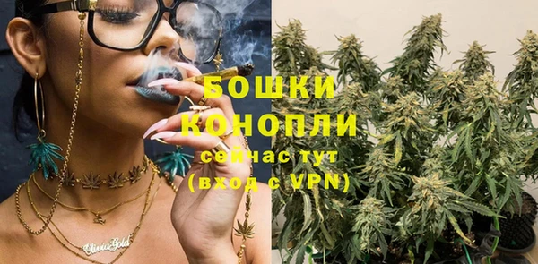 эйфоретик Белокуриха